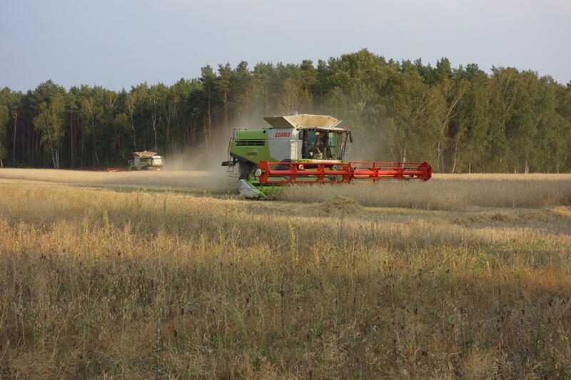 bilder/24_5_2005/fendt_818_7.jpg