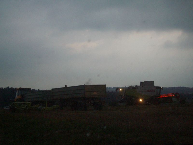 IMGP5452.jpg