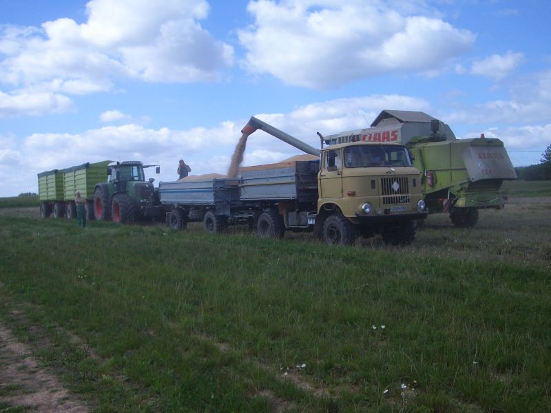 IMGP5507.jpg