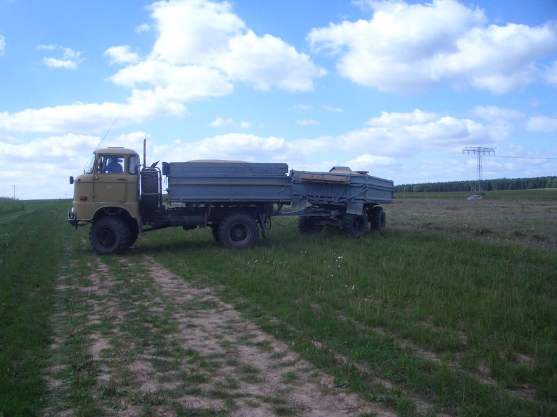 IMGP5508.jpg