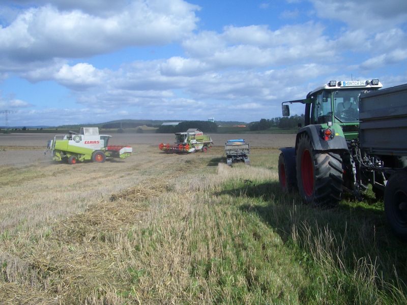 bilder/31_8_2005/lexion_14.jpg