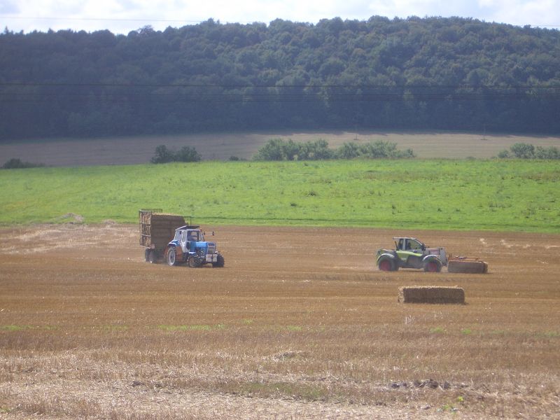 bilder/19_7_2003/mega_+_fendt_824.jpg