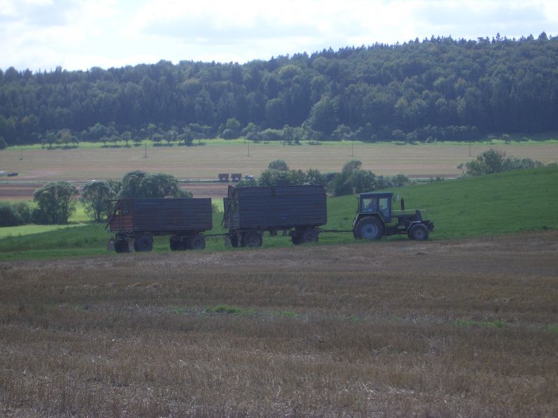 IMGP5478.jpg