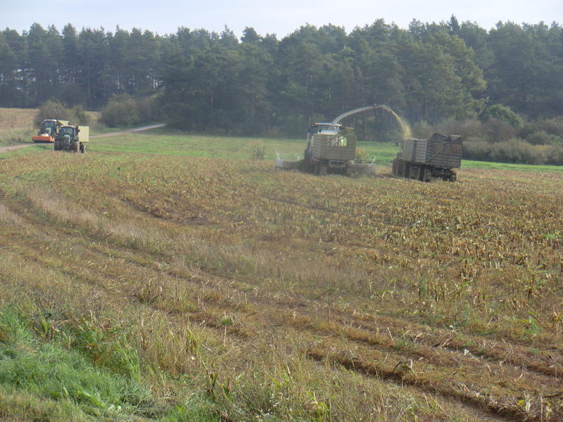 bilder/9_10_2014/CIMG8270.jpg