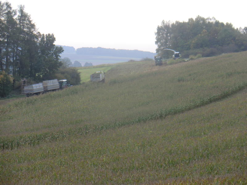 CIMG8281.jpg