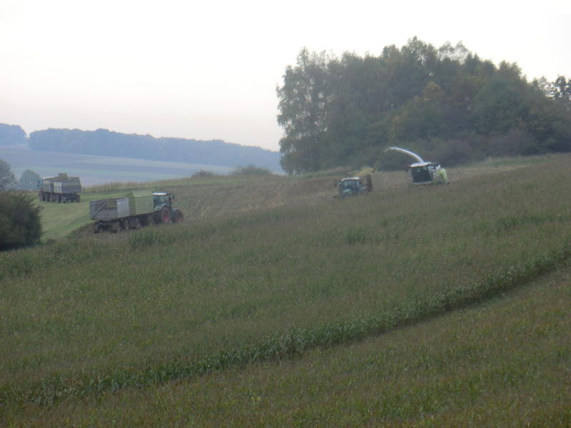 bilder/14_4_2005_2/fendt_716_6.jpg