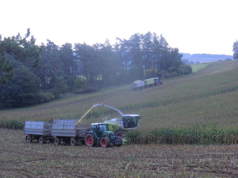 bilder/9_10_2014/CIMG8291.jpg