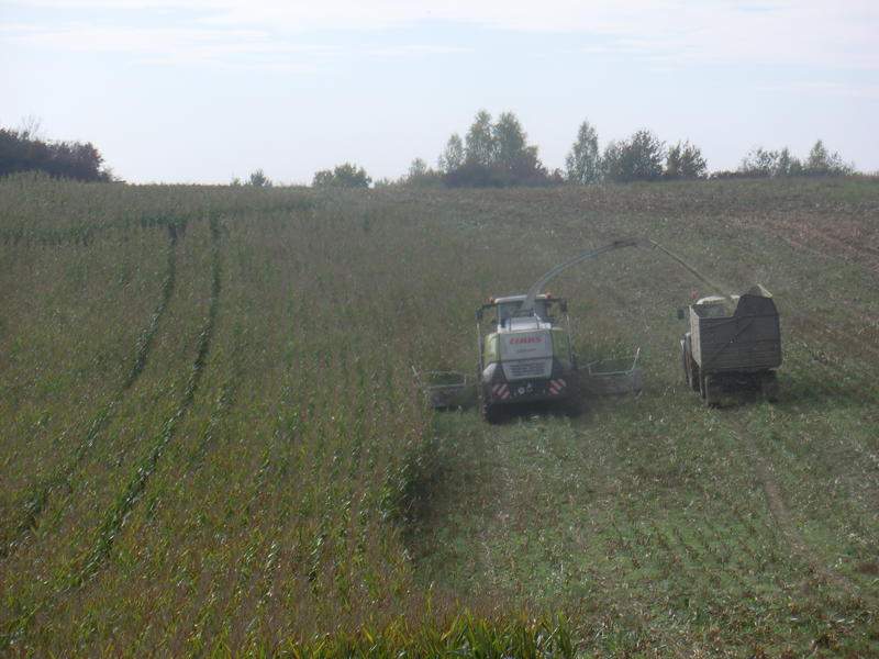 bilder/9_10_2014/CIMG8306.jpg