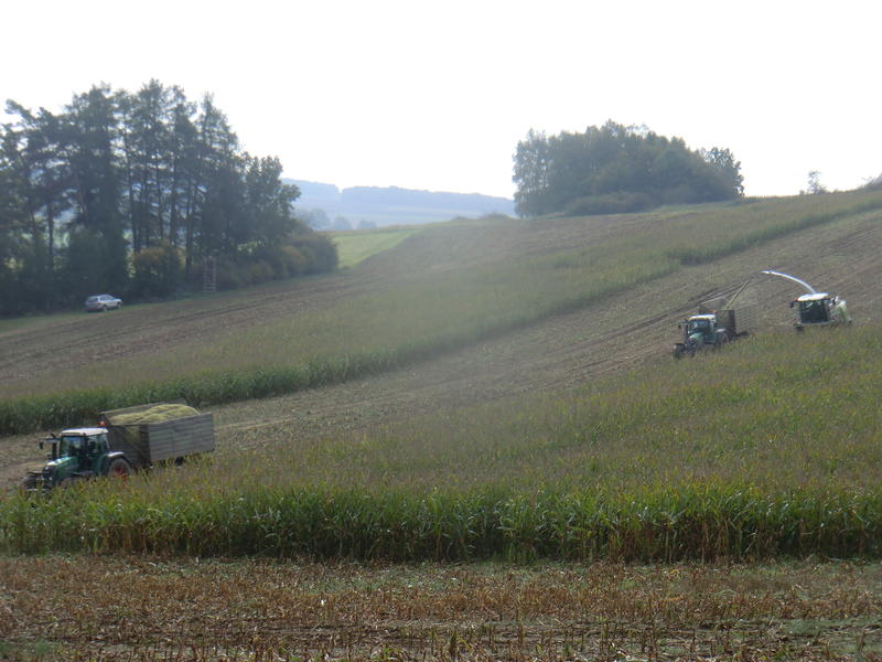 CIMG8309.jpg