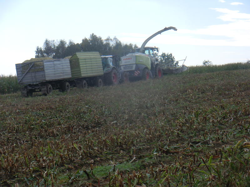 bilder/12_8_2013/CIMG9094.jpg