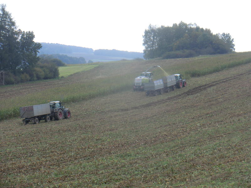 CIMG8327.jpg