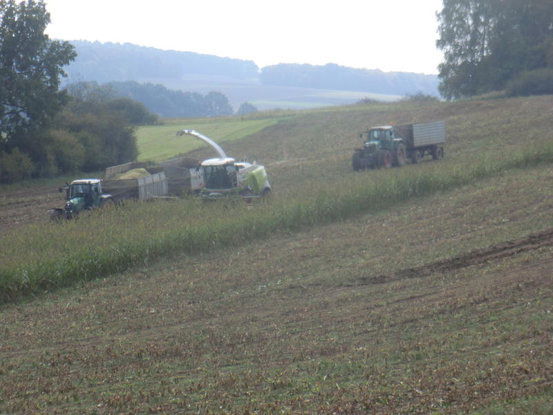 bilder/31_3_2005/fendt_716_14.jpg