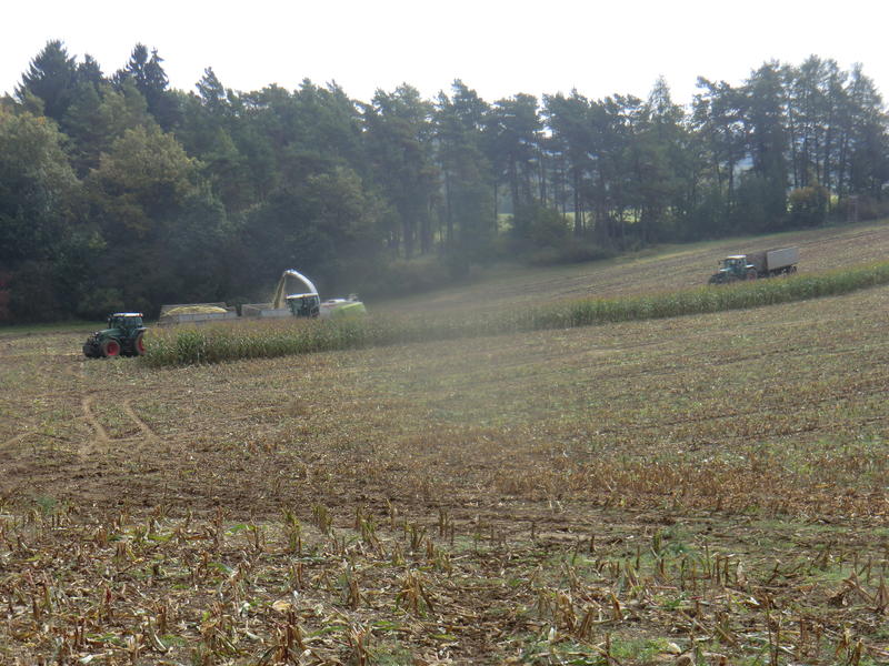 CIMG8329.jpg