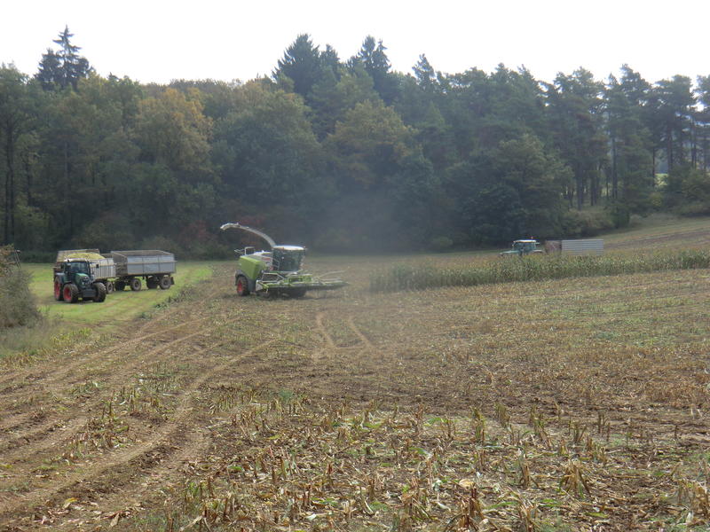 CIMG8330.jpg