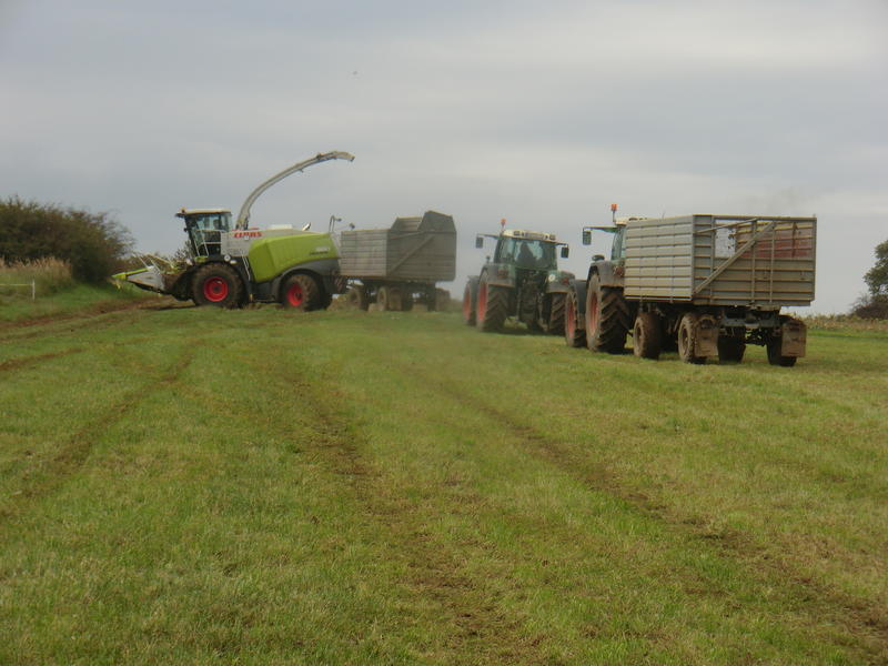 bilder/9_10_2014/CIMG8337.jpg
