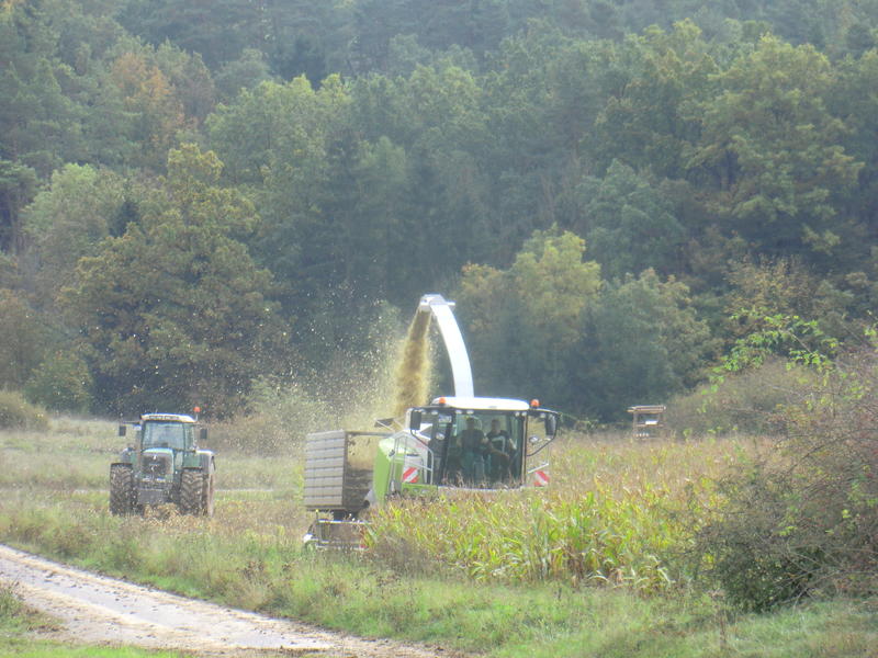 CIMG8342.jpg