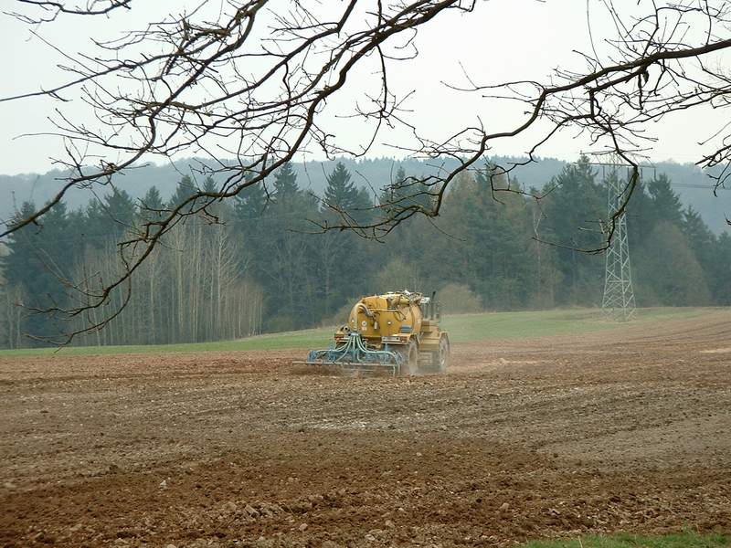 bilder/9_4_2002/terra_gator_6.jpg