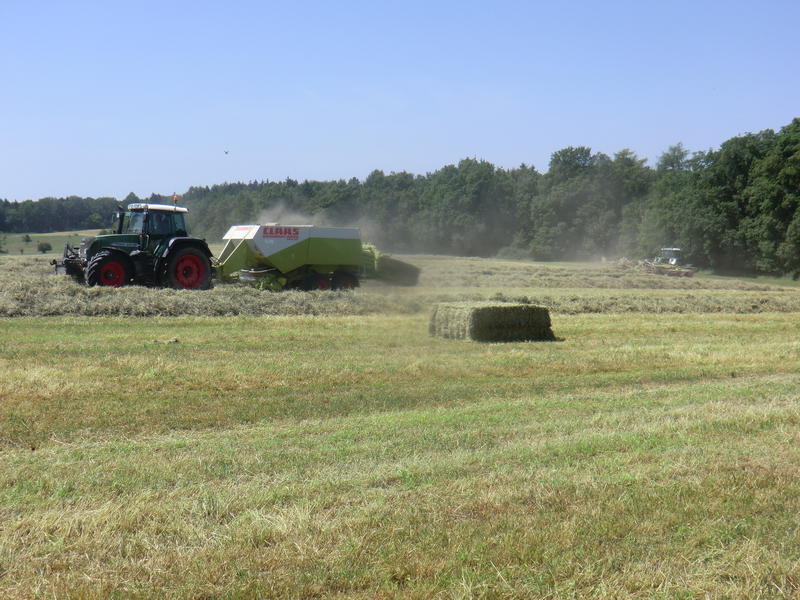 bilder/29_3_2005/fendt_824_11.jpg