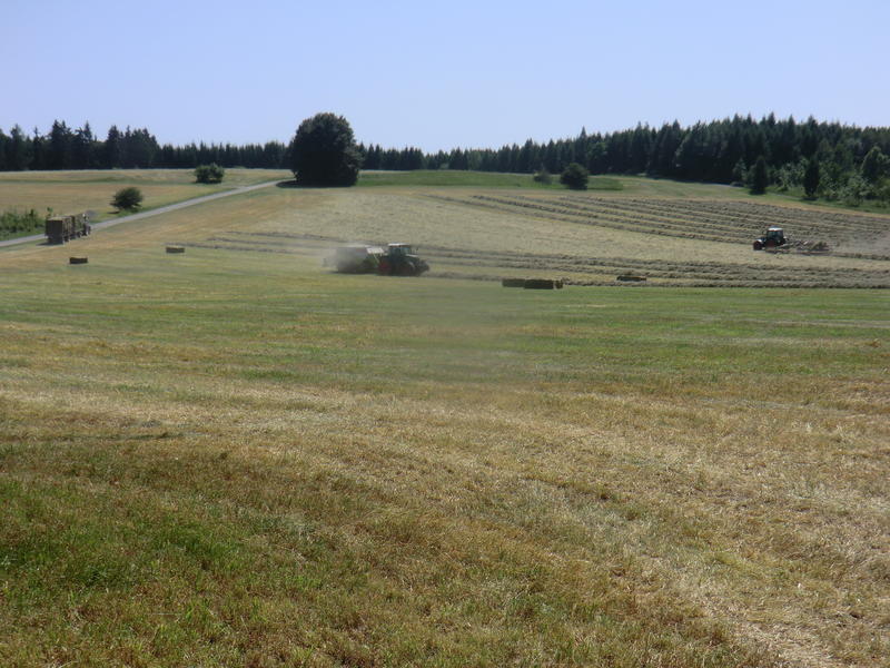 CIMG3293.jpg