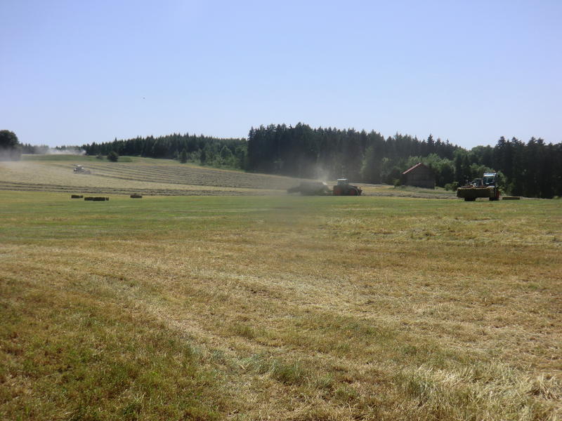 CIMG3294.jpg