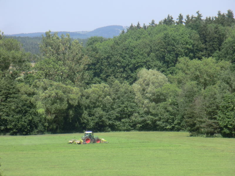 bilder/6_5_2017/DSC08005.jpg