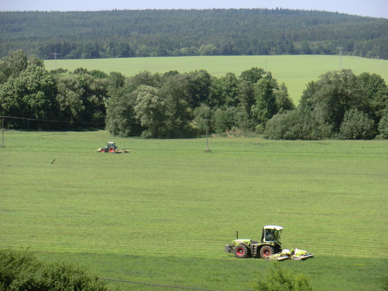 bilder/9_6_2014_2/CIMG3303.jpg