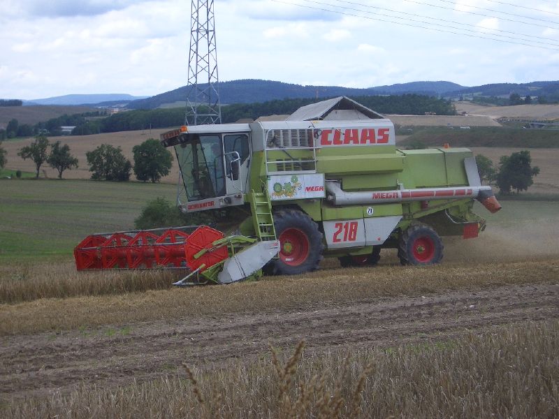 IMGP4106.jpg