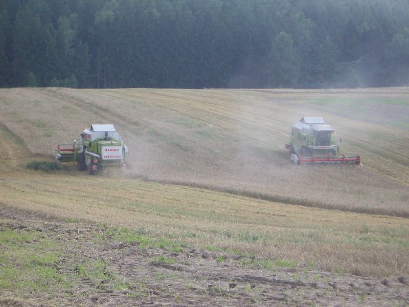 bilder/13_5_2002/xerion_4.jpg