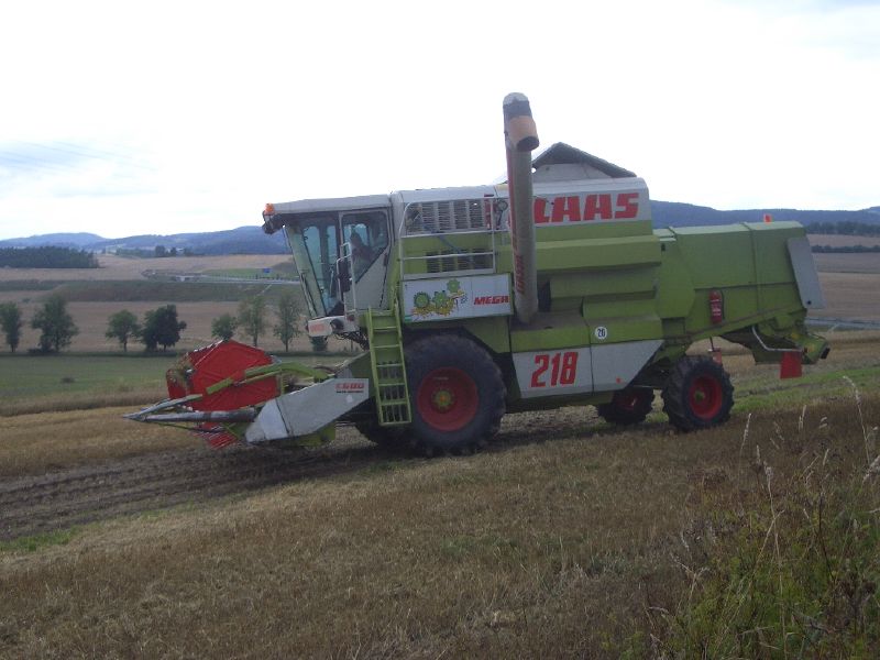 IMGP4175.jpg