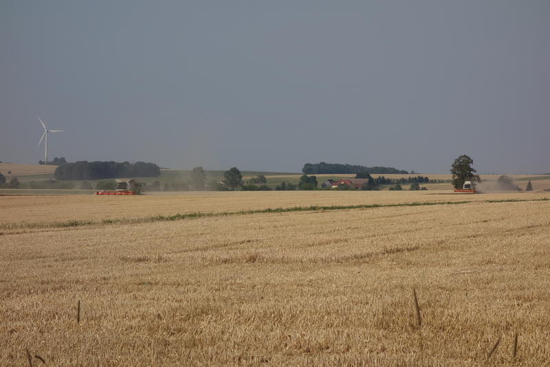 bilder/20_4_2013/CIMG7201.jpg