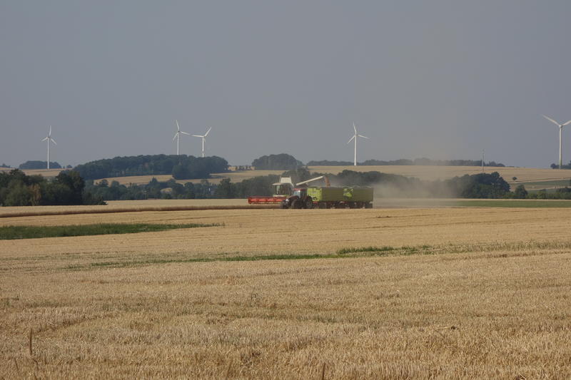 bilder/9_8_2015/DSC02094.jpg