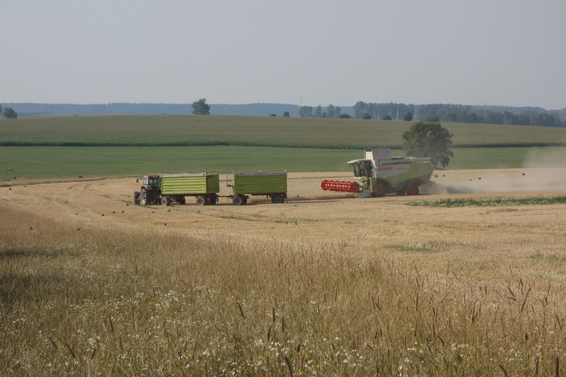 bilder/26_5_2017/DSC08340.jpg