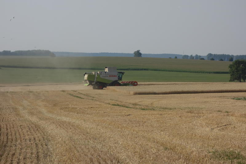 bilder/9_8_2015/DSC02106.jpg