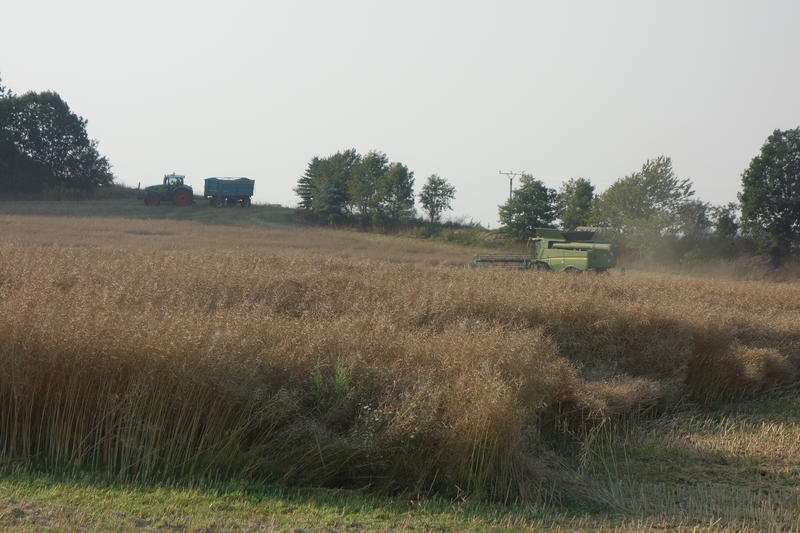 DSC02126.jpg