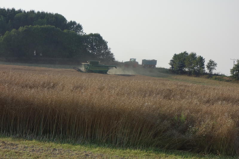 bilder/9_8_2015_2/DSC02129.jpg