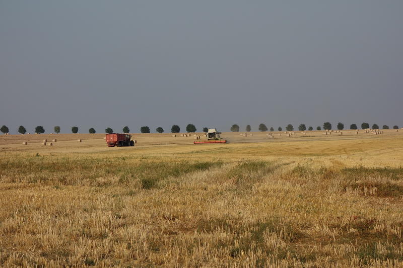 bilder/14_4_2005_2/fendt_824_6.jpg