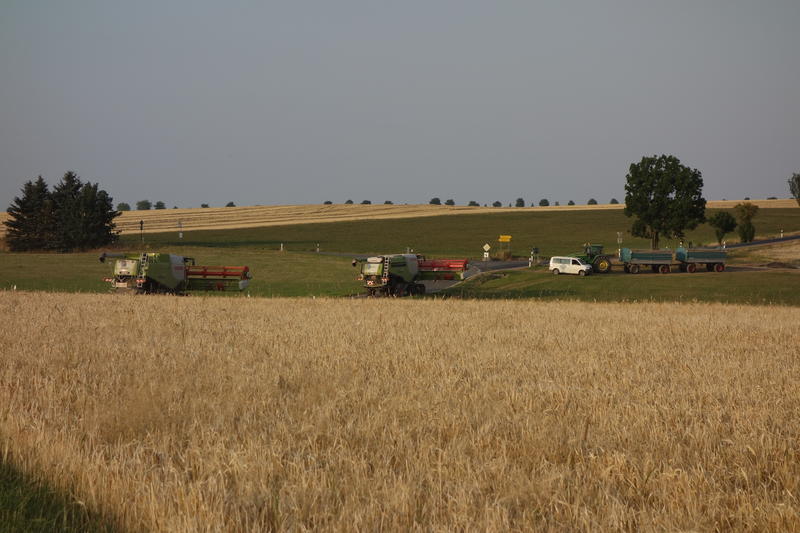 DSC02156.jpg