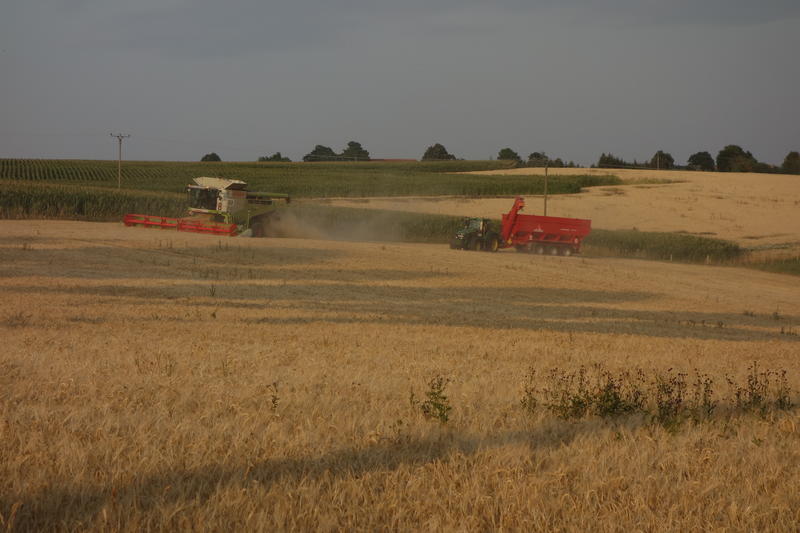 bilder/30_7_2004_3/fendt_3.jpg