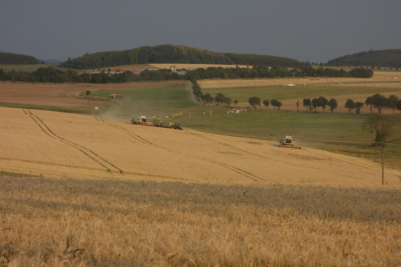 DSC02172.jpg