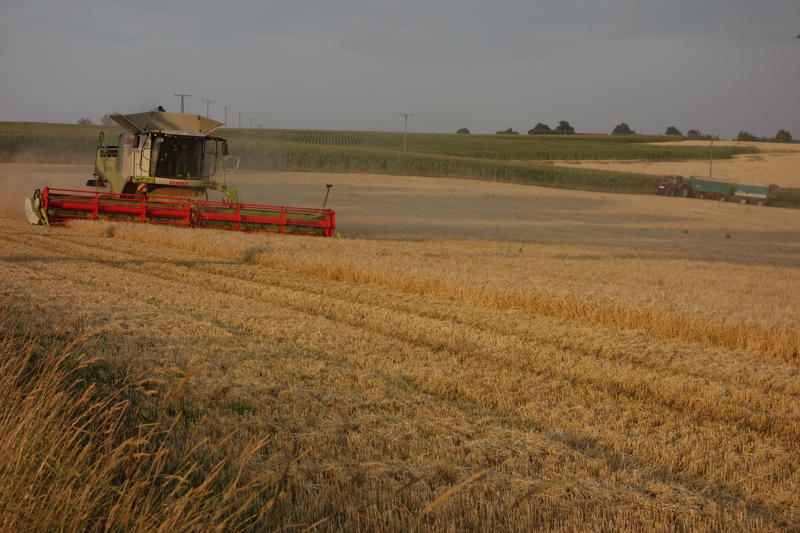 bilder/8_10_2013_2/CIMG0177.jpg