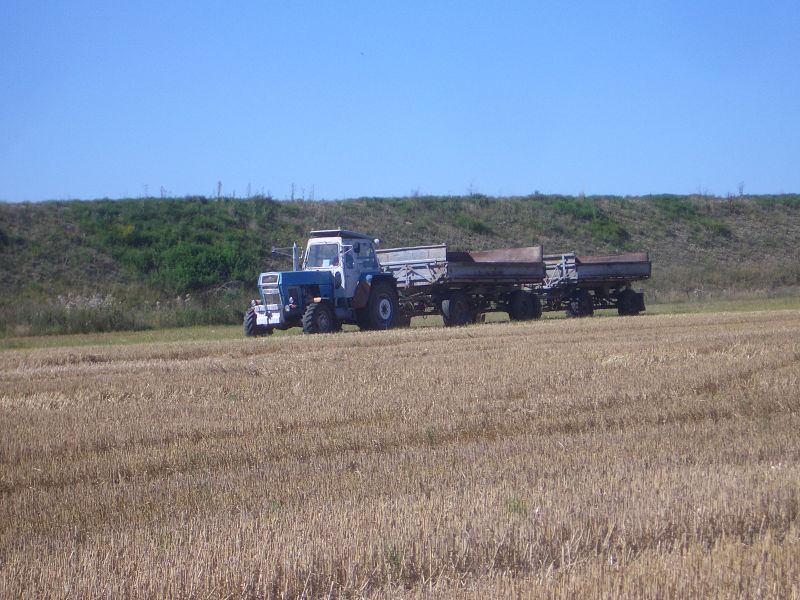 IMGP5624.jpg