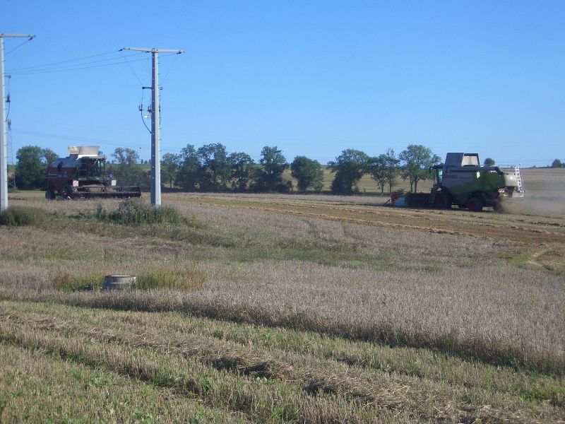 IMGP5710.jpg