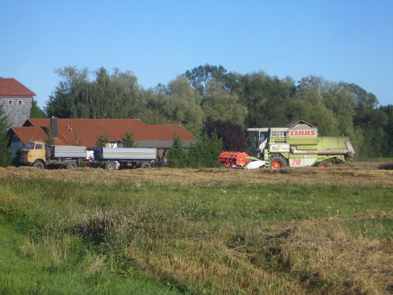 IMGP5740.jpg