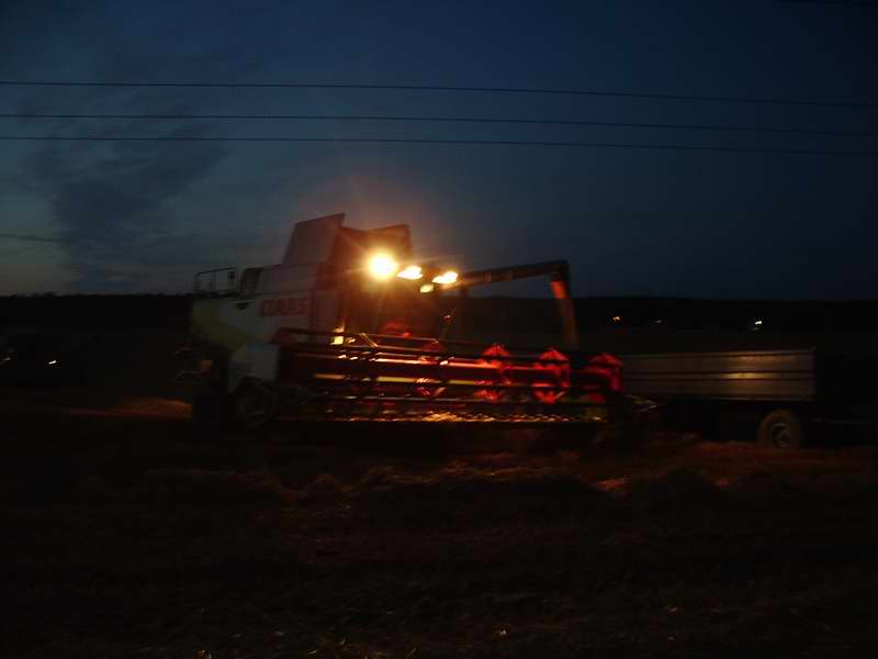 Lexion_3.jpg