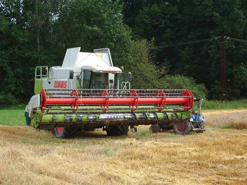Lexion_4.jpg