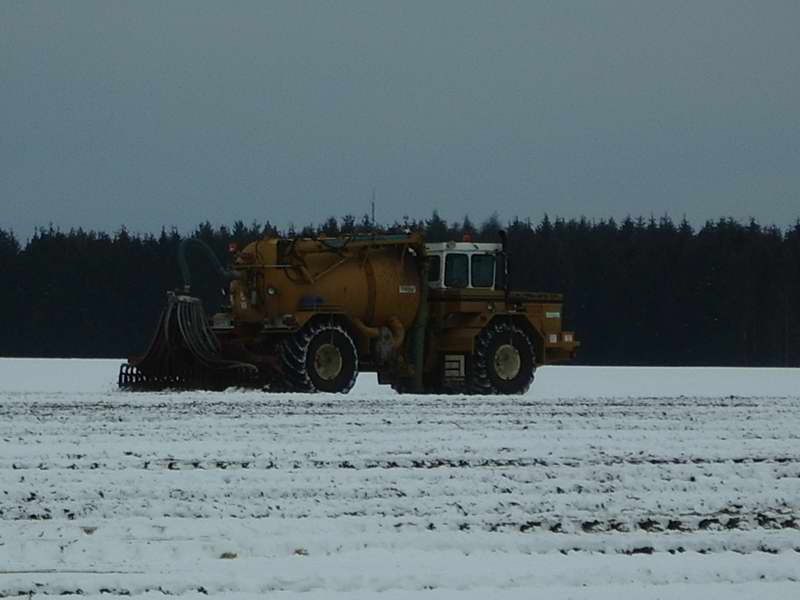 bilder/Fabian/4_3_2005/terra_gator_3.jpg
