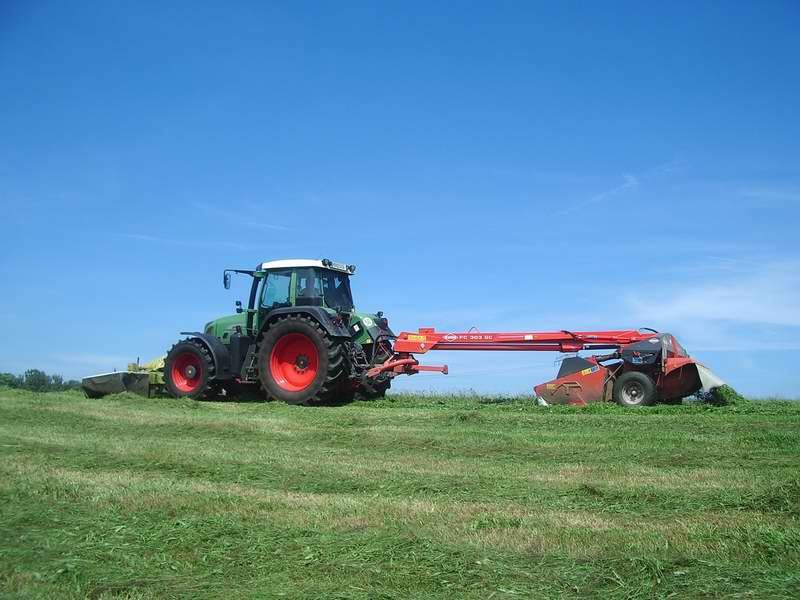 bilder/6_8_2013/CIMG8598.jpg