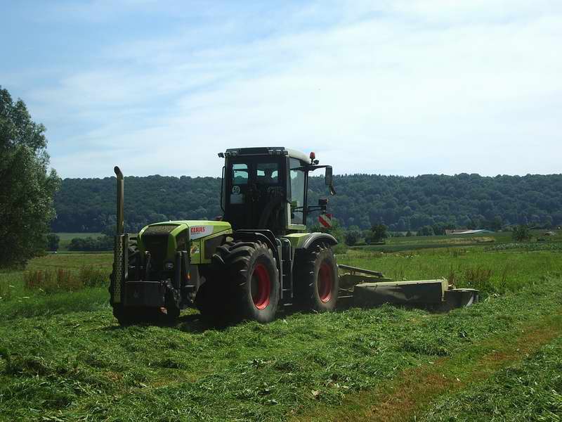 bilder/Fabian/4_7_2005/xerion_3.jpg