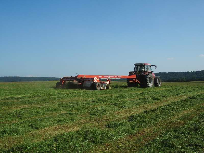 bilder/Fabian/8_9_2005/Case_3.jpg