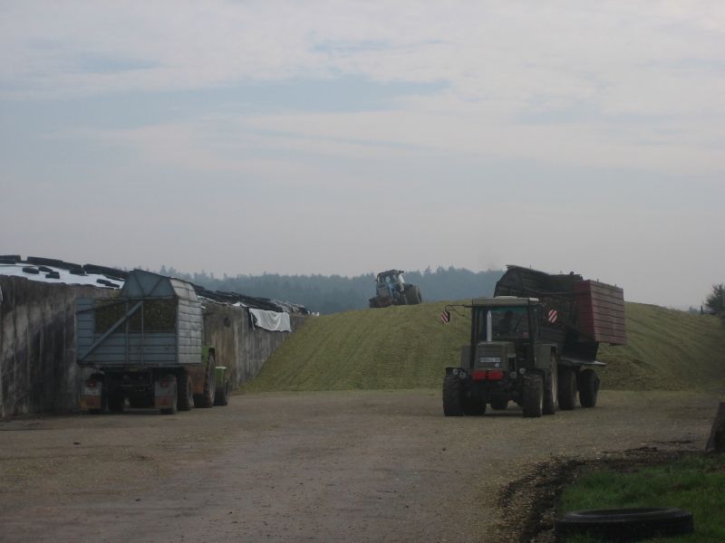 bilder/25_8_2002/mega_9.jpg